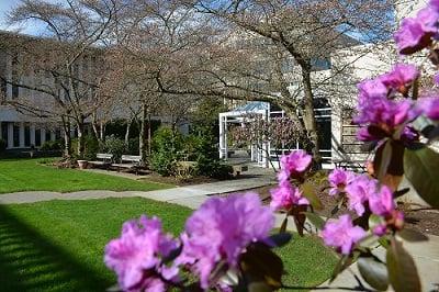 healinggarden_cherryblossoms_spring2015-(1)(1).jpg